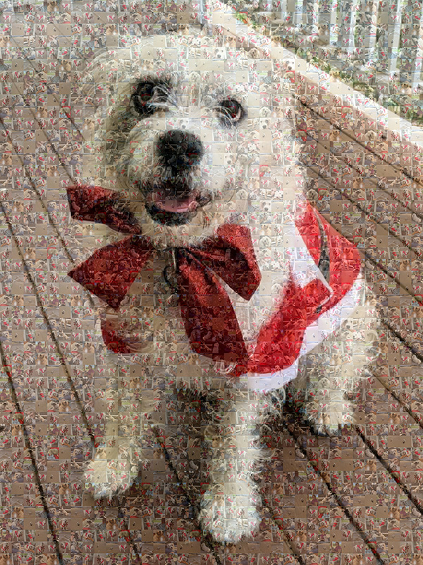 Sample Photo-mosaic