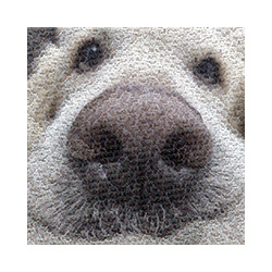 Sample04.jpg